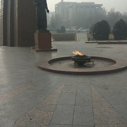 �����, �����������, 42 ����