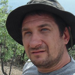 ������, ������, 41 ���