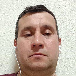 ����, ������, 45 ���