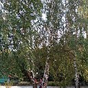 ���� �������, ��������, 76 ��� - ��������� 16 �������� 2023 � ������ ������������