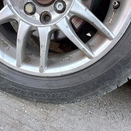 ����, �����������