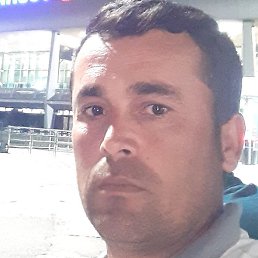 ������, �����, 39 ���