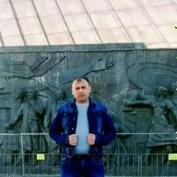 ����, ������, 41 ���