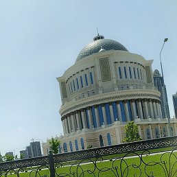 �����, ������, 37 ���