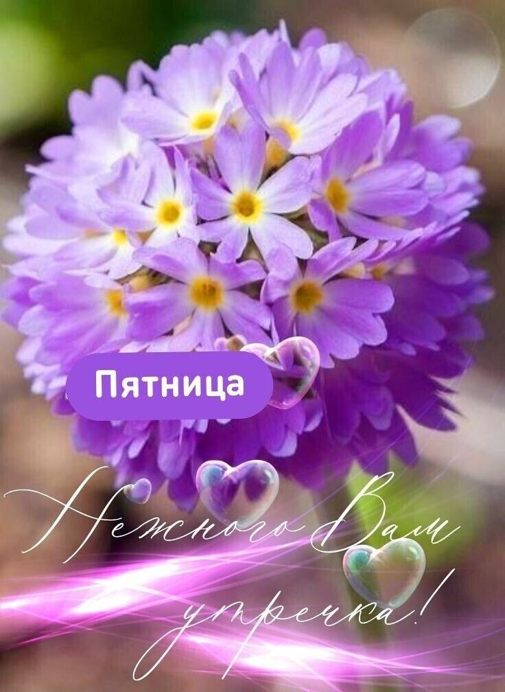  !     ... , , ... , , ,   ...