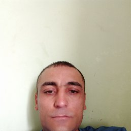 ���� ������, ������, 41 ��� - ��������� 3 ���� 2023