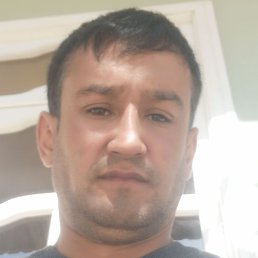 ������, �������, 41 ���