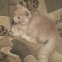 ���� Aleksandr, �������, 42 ���� - ��������� 1 ����� 2023