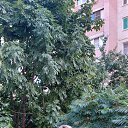 ���� �����, �������, 61 ��� - ��������� 10 �������� 2023 � ������ ���� ����������