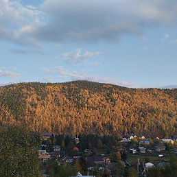 �����, ������, 51 ���