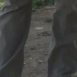 ��������, ������������, 51 ���