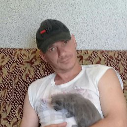 �������, �������, 44 ����