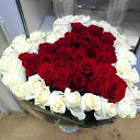 ���� ��������� �������, ������, 72 ���� - ��������� 14 ������ 2023 � ������ ������ ��������