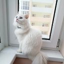 ������ ������� �� ������� �������