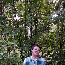 �������, ������, 48 ���