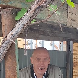 ���� ��������, ������, 54 ���� - ��������� 13 ���� 2023