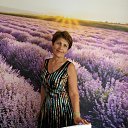 ���� �������, ������, 68 ��� - ��������� 24 ����� 2023