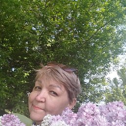 ����, ������, 54 ����