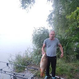 �����, ����, 46 ���