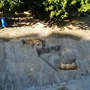 ���� ������., ������, 42 ���� - ��������� 6 �������� 2023