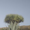 ���� Helena, �������, 72 ���� - ��������� 2 ������� 2023 � ������ ���� ����������