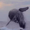 ���� �����, ����, 33 ���� - ��������� 5 ��� 2023 � ������ ������ ��������