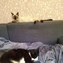 ���� ����, �����, 50 ��� - ��������� 27 ��� 2023