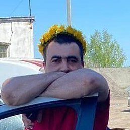 �����, ������, 40 ���