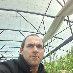 ���� �����, ������, 49 ��� - ��������� 14 ������� 2023