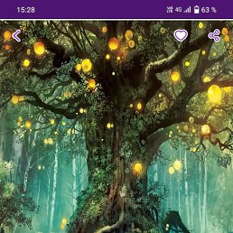 ����, �������, 25 ���