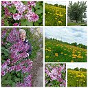 ���� �������, �������� - ��������� 15 ��� 2023 � ������ ���� ����������