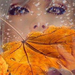 ����, �������, 64 ����