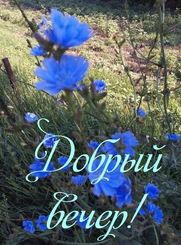   ,    . - 8  2023  15:41 - 3