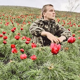 �������, ���������, 29 ���