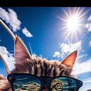 ���� ����, ����, 61 ��� - ��������� 9 ������� 2023 � ������ ���� ����������