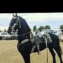 ���� ����, ����������, 30 ��� - ��������� 13 ������� 2023 � ������ ���� ����������