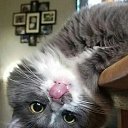 ���� Pavel, ������, 52 ���� - ��������� 30 �������� 2023