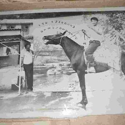 ���� �������, �����, 66 ��� - ��������� 15 ��� 2023