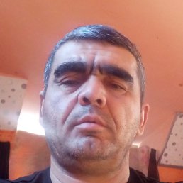 ������, ���������, 49 ���