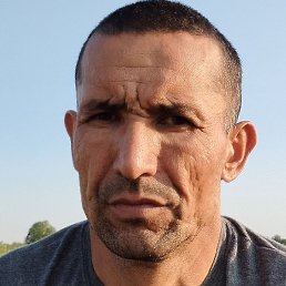 �����, �����-���������, 36 ���