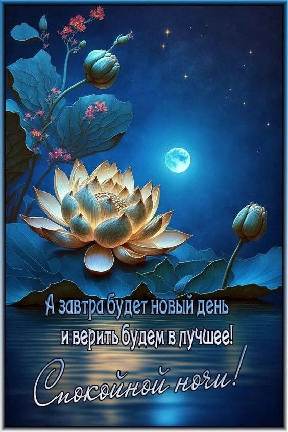 ,   ,    ,        ...