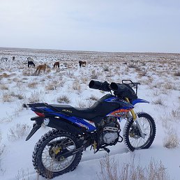 �����, �������, 41 ���