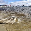 ���� ������, ������, 61 ��� - ��������� 11 ������� 2023 � ������ ���� ����������