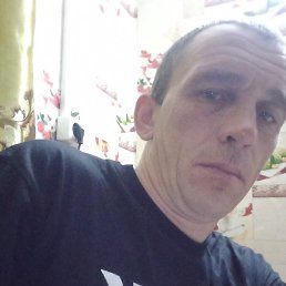 ������, ������, 41 ���