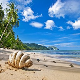 Stas, �����-���������, 40 ���