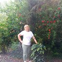 ���� �������, ����, 61 ��� - ��������� 22 ������� 2023 � ������ ���� ����������