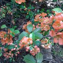 ���� ��, ������ - ��������� 3 ������� 2023 � ������ ���� ����������