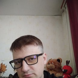 ����, ������, 41 ���