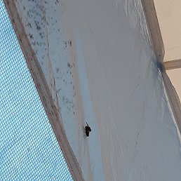 ����, �����, 21 ���