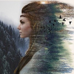 �����, �����, 44 ����